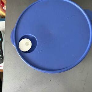 Tupperware Blue and White Storage Lid
